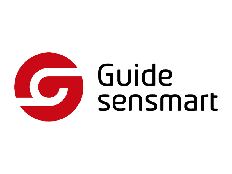 logo guide